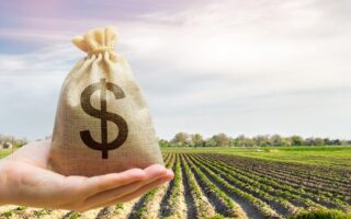 Comissão aprova proposta que simplifica renegociação do crédito rural