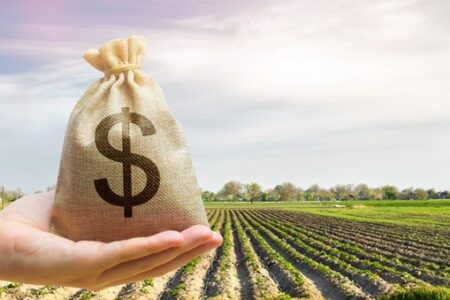 Comissão aprova proposta que simplifica renegociação do crédito rural