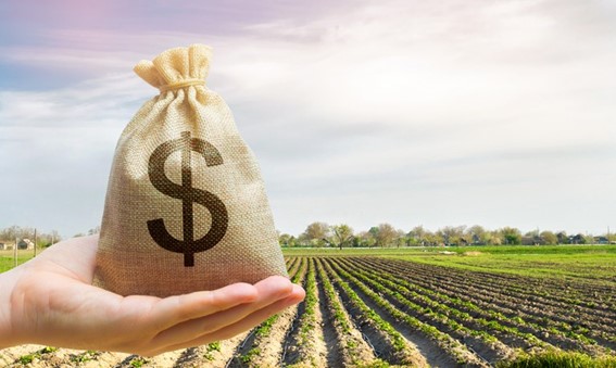 Comissão aprova proposta que simplifica renegociação do crédito rural