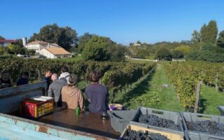 Um Australiano em Bordeaux: a História de David Stannard