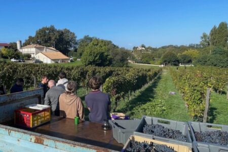 Um Australiano em Bordeaux: a História de David Stannard