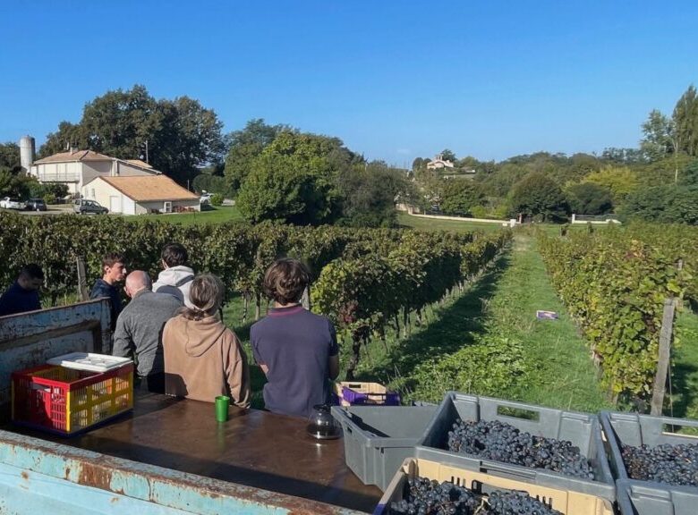 Um Australiano em Bordeaux: a História de David Stannard Um Australiano em Bordeaux: a História de David Stannard